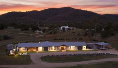 House For Sale - NSW - Bingara - 2404 - Huge Price Drop - A High-End Home with Commercial Flexibility  (Image 2)