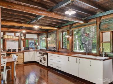 Lifestyle For Sale - NSW - Upper Lansdowne - 2430 - A Once-in-a-Lifetime Riverfront Sanctuary on 220 Acres  (Image 2)