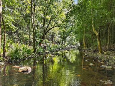 Lifestyle For Sale - NSW - Upper Lansdowne - 2430 - A Once-in-a-Lifetime Riverfront Sanctuary on 220 Acres  (Image 2)