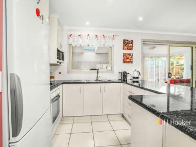 House For Sale - TAS - Devonport - 7310 - Hop Into Holyman  (Image 2)