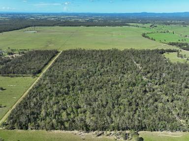Residential Block For Sale - NSW - Melinga - 2430 - 100 Acres with DA Approval – RU1 Zoned Rural Lifestyle Opportunity  (Image 2)