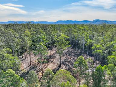 Residential Block For Sale - NSW - Melinga - 2430 - 100 Acres, DA Approved, Endless Possibilities  (Image 2)