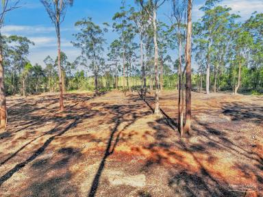 Residential Block For Sale - NSW - Melinga - 2430 - 100 Acres, DA Approved, Endless Possibilities  (Image 2)