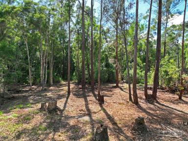 Residential Block For Sale - NSW - Melinga - 2430 - 100 Acres with DA Approval – RU1 Zoned Rural Lifestyle Opportunity  (Image 2)