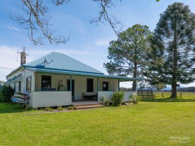 Lifestyle For Sale - NSW - Moto - 2426 - Riverfront Grazing Paradise – 96 Acres on the Lansdowne River  (Image 2)