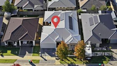 House For Sale - WA - Baldivis - 6171 - LIVE THE CELEBRITY LIFESTYLE – LUXURY, SPACE & TIMELESS ELEGANCE AWAIT  (Image 2)
