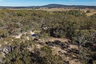 Lifestyle For Sale - NSW - Lower Boro - 2580 - 2 Acres with Dwelling Entitlement | RU2 | Rare Opportunity & Road Frontage  (Image 2)