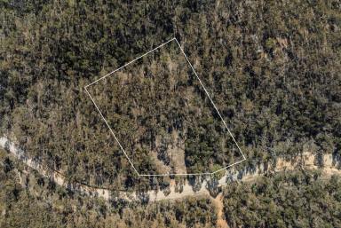 Lifestyle For Sale - NSW - Lower Boro - 2580 - 2 Acres with Dwelling Entitlement | RU2 | Rare Opportunity & Road Frontage  (Image 2)