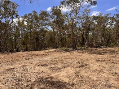 Lifestyle For Sale - NSW - Lower Boro - 2580 - 2 Acres with Dwelling Entitlement | RU2 | Rare Opportunity & Road Frontage  (Image 2)