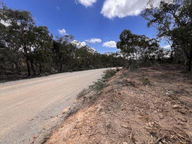 Lifestyle For Sale - NSW - Lower Boro - 2580 - Hallowed Grounds, 2 Acre Rural Land, Old Church Site, Road Frontage  (Image 2)