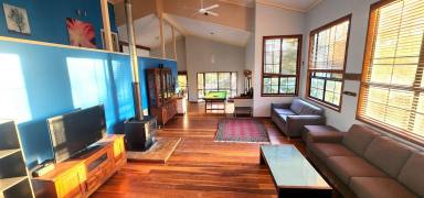 House For Lease - NSW - Scotland Island - 2105 - Spacious family treetop house with water views and island lifestyle  (Image 2)