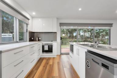 Hotel/Leisure For Sale - TAS - Bicheno - 7215 - Bicheno Coastal Rural Accommodation Lifestyle  (Image 2)