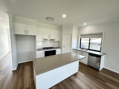 House For Lease - NSW - Tamworth - 2340 - NEW BUILD - EAGLE VIEW ESTATE  (Image 2)