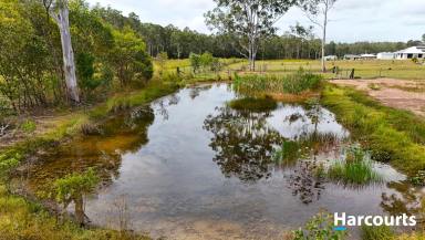 Residential Block For Sale - QLD - North Isis - 4660 - ALWAYS DREAMED OF ACREAGE LIVING ? ABINGTON HEIGHTS IS CALLING YOUR NAME  (Image 2)