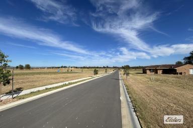 Residential Block For Sale - QLD - Plainland - 4341 - Registered & Ready: Prime Acreage Living in The Range View (Image 2)