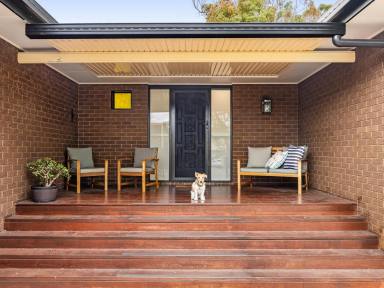 House For Sale - QLD - Centenary Heights - 4350 - Four Bedroom - Family Friendly!  (Image 2)