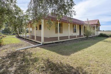 Lifestyle For Sale - VIC - Nyah West - 3595 - Room For A Pony  (Image 2)
