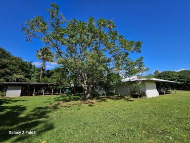 Lifestyle For Sale - QLD - Cooktown - 4895 - Unique Acreage Retreat with Creekside Lifestyle & Rare River Access  (Image 2)