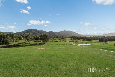 House For Sale - QLD - Highvale - 4520 - Elevated, Renovated & Off-Grid Living  (Image 2)