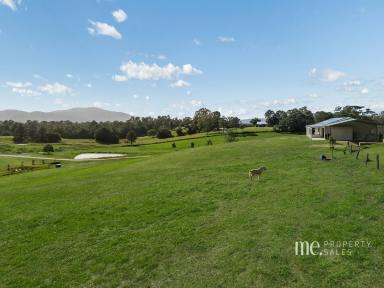 House For Sale - QLD - Highvale - 4520 - Elevated, Renovated & Off-Grid Living  (Image 2)