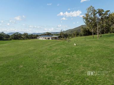 House For Sale - QLD - Highvale - 4520 - Elevated and Completely Renovated  (Image 2)