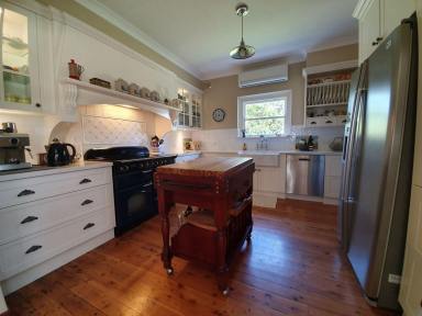 House For Lease - NSW - Muswellbrook - 2333 - IN A CLASS
AND LOCATION OF ITS OWN! SPACIOUS FAMILY HOME.  (Image 2)