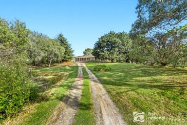 Lifestyle For Sale - VIC - Cannons Creek - 3977 - ONE WITH THE LOT!  (Image 2)