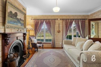 Other (Rural) For Sale - NSW - Glendon Brook - 2330 - "Watervale" – A Rare Lifestyle Retreat with Abundant Water & Family Comfort  (Image 2)