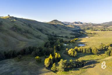 Other (Rural) For Sale - NSW - Glendon Brook - 2330 - "Watervale" – A Rare Lifestyle Retreat with Abundant Water & Family Comfort  (Image 2)
