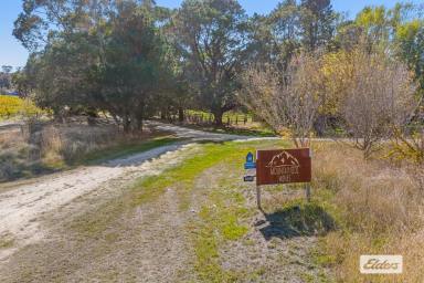 Lifestyle For Sale - VIC - Mount Cole - 3377 - Mountainside Wines - Lifestyle, Income & Escape at the Foot of Mount Cole  (Image 2)