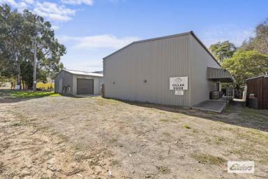 Lifestyle For Sale - VIC - Mount Cole - 3377 - Mountainside Wines - Lifestyle, Income & Escape at the Foot of Mount Cole  (Image 2)