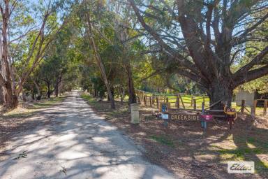 Lifestyle For Sale - VIC - Mount Cole - 3377 - Mountainside Wines - Lifestyle, Income & Escape at the Foot of Mount Cole  (Image 2)