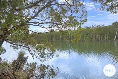 Lifestyle For Sale - NSW - Rossglen - 2439 - River Frontage & Mountain Views on 40ha (Image 2)