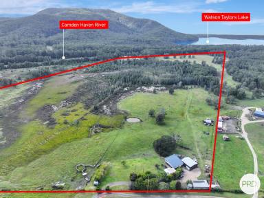 Lifestyle For Sale - NSW - Rossglen - 2439 - River Frontage & Mountain Views on 40ha (Image 2)