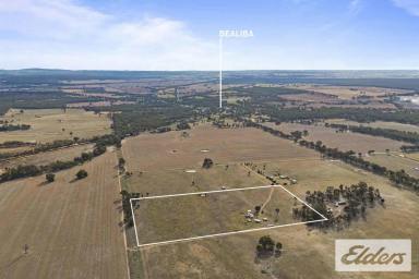 Lifestyle For Sale - VIC - Bealiba - 3475 - Peaceful 20-Acre Rural Retreat in Bealiba  (Image 2)