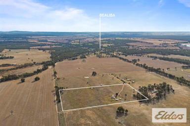 Lifestyle For Sale - VIC - Bealiba - 3475 - Peaceful 20-Acre Rural Retreat in Bealiba (Image 2)