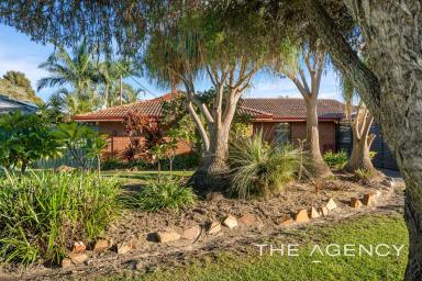 House For Sale - WA - Thornlie - 6108 - Buyers Alert Don’t Miss This One!  (Image 2)