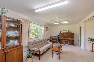 House For Sale - VIC - Ouyen - 3490 - Rural home on 9.25 acres!  (Image 2)