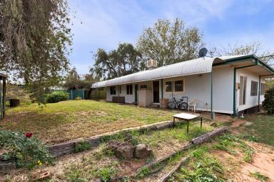 House For Sale - VIC - Red Cliffs - 3496 - Ideal Rural Living  (Image 2)