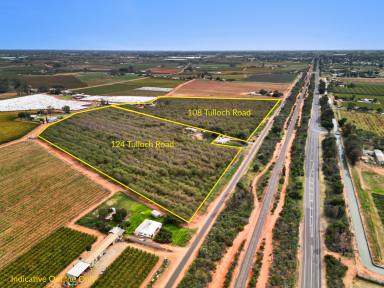 Horticulture For Sale - VIC - Red Cliffs - 3496 - Ready and Waiting for you.  (Image 2)