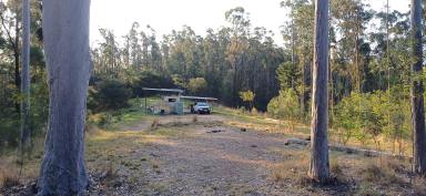 Lifestyle For Sale - NSW - Nymboida - 2460 - 'LORIEN VALLEY' - 100 ACRES OF SECLUSION  (Image 2)