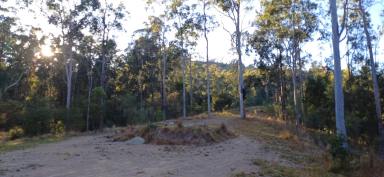 Lifestyle For Sale - NSW - Nymboida - 2460 - 'LORIEN VALLEY' - 100 ACRES OF SECLUSION  (Image 2)