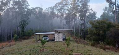Lifestyle For Sale - NSW - Nymboida - 2460 - 'LORIEN VALLEY' - 100 ACRES OF SECLUSION  (Image 2)