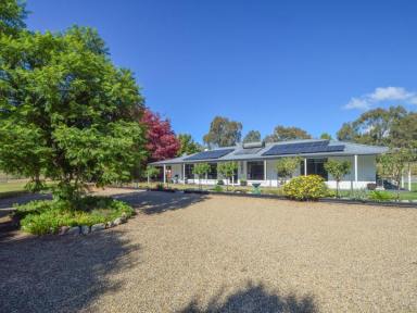 Lifestyle For Sale - NSW - Young - 2594 - Brick Veneer Home on 5.2acs* With Town Water, Solar & a Short Drive to Town  (Image 2)