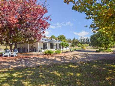 Lifestyle For Sale - NSW - Young - 2594 - Brick Veneer Home on 5.2acs* With Town Water, Solar & a Short Drive to Town  (Image 2)
