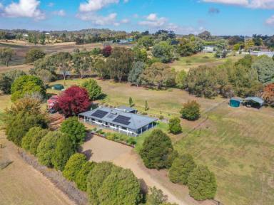 Lifestyle For Sale - NSW - Young - 2594 - Brick Veneer Home on 5.2acs* With Town Water, Solar & a Short Drive to Town  (Image 2)