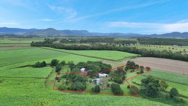 Lifestyle For Sale - QLD - Pindi Pindi - 4798 - HOW'S THE SERENITY?  (Image 2)