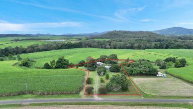 Lifestyle For Sale - QLD - Pindi Pindi - 4798 - HOW'S THE SERENITY?  (Image 2)