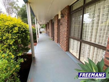 House For Lease - QLD - Kingaroy - 4610 - Large well established family home 1,374m corner allotment  (Image 2)
