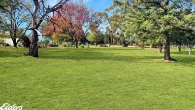Residential Block For Sale - VIC - Woodside - 3874 - ONE ACRE ON A QUIET COUNTRY LANE  (Image 2)